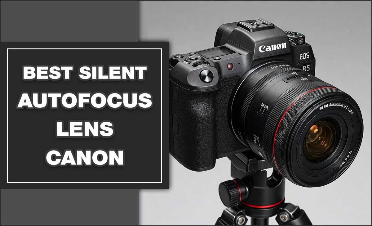 Best Silent Autofocus Lens Canon